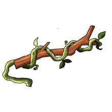 invasive vines wrapped around a tree limb