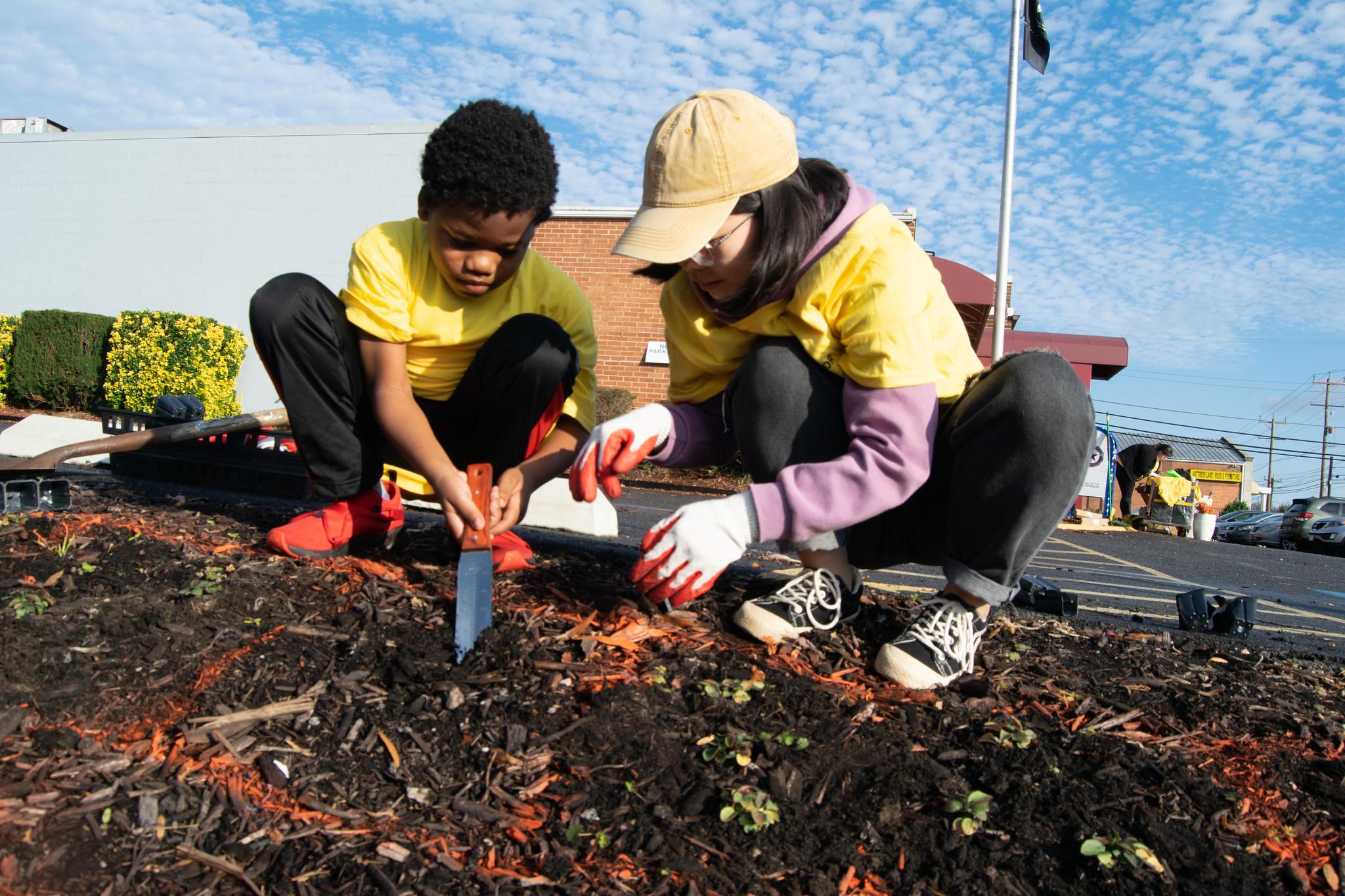 two volunteers planting